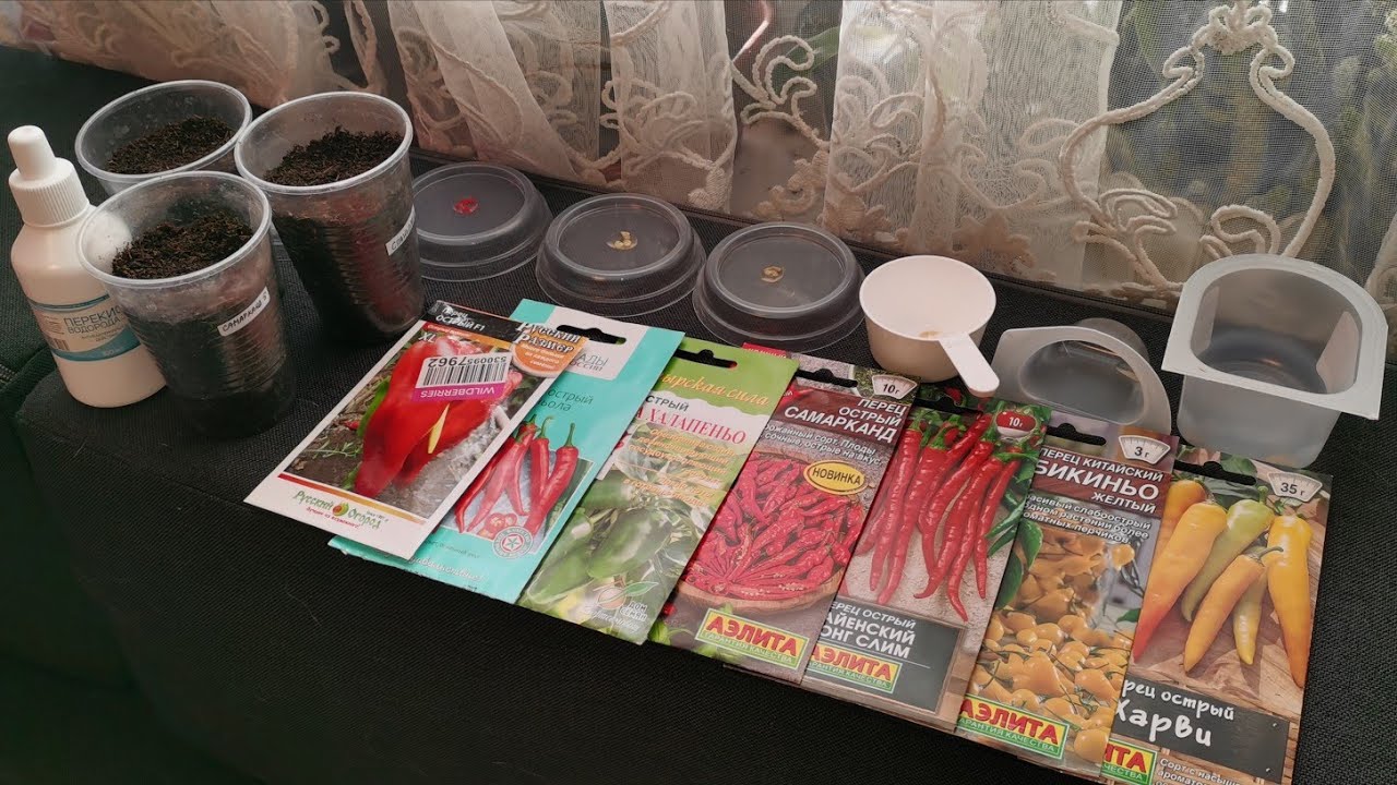 Сею острые перцы на рассаду Сезон 2026 и подкармливаю томаты для роста!