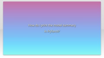 How do I print the model summary in PyTorch?