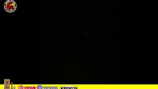 KBF9039 金柳变菊花