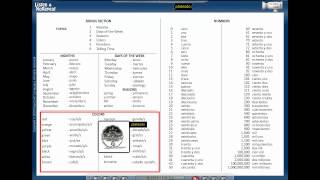 Visual Link Spanish: Bonus Section Lesson 7