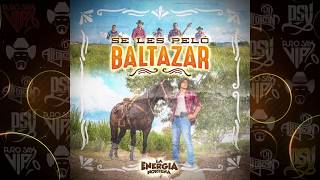 Video thumbnail of "La Energía Norteña - Se les Peló Baltazar / 2019"