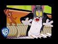 Tom  jerry  best of the best  classic cartoon compilation  wb kids