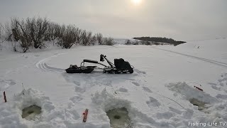 видео: ПОСТАВИЛ 10 ХАПУГ НА КИВКИ С КОЛОКОЛЬЧИКАМИ, ТЕПЕРЬ Я ЕЁ НЕ УПУЩУ... РЫБАЛКА В ГЛУХОЗИМЬЕ... картинка: ПОСТАВИЛ 10 ХАПУГ НА КИВКИ С КОЛОКОЛЬЧИКАМИ, ТЕПЕРЬ Я ЕЁ НЕ УПУЩУ... РЫБАЛКА В ГЛУХОЗИМЬЕ...
