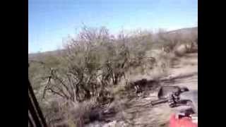 PSE EVO 2012 ARCHERY HUNTING ARIZONA AREA 33