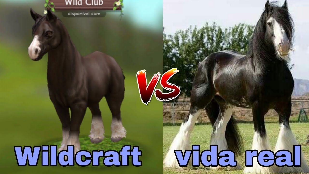 Wildcraft Vs vida real(cavalo)🐴 YouTube
