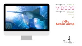 Team Creative Services:  Video Production Urban Camp Destination Video Development
