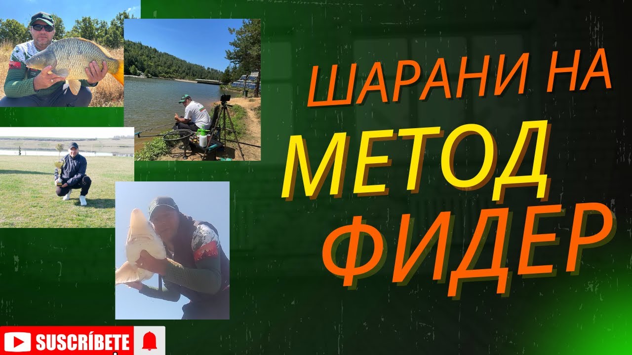 На  водоем За диви и борбени Шаранчета на METHOD FEEDER---стана добър риболов,храните сработиха