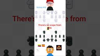 Perfect Chess Ending - Victory #10