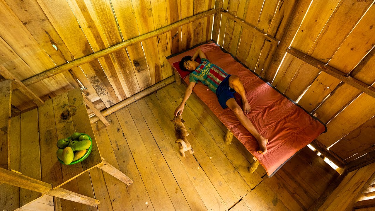 🛠️ Orphan Boy Fixes His Door and Bed – But One of His Dogs Goes Missing!