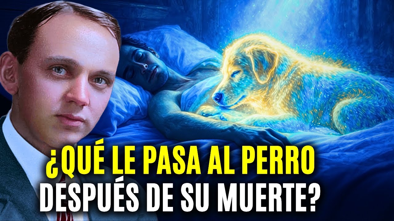 Edgar Cayce revela lo que Qué le sucede realmente a tu perro después de la muerte