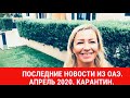 Последние новости из ОАЭ. Апрель 2020. Болталка. Карантин.