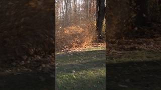 Ventrac Makes Fall Cleanup Easy @ventrac