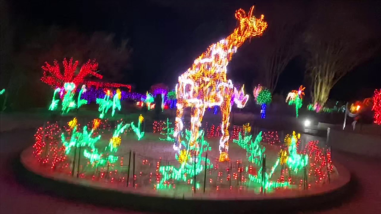 Brookside Gardens Garden Of Lights Youtube