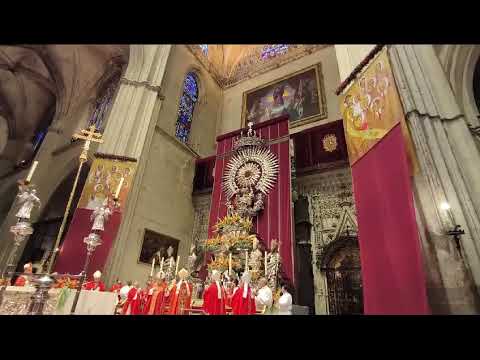 Tapices beatificacion Sevilla 18 11 2023