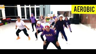 AEROBIC KHUSUS PEMULA( PART 2 ) 2 X 8||BL||STEPROBI||STEPROBICDANCE||YOGAFLOWING||BELLYFITDANCE