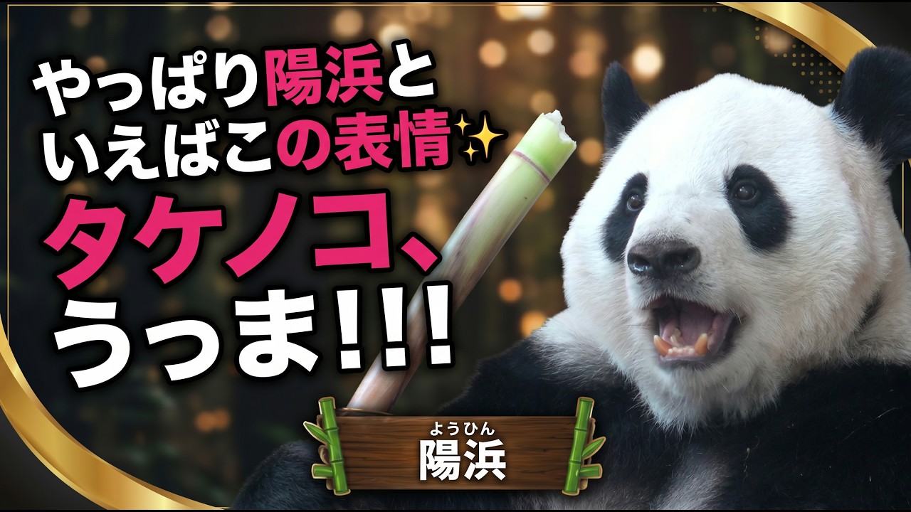Youhin's Eyes Lit Up at the Sight of a Giant Bamboo Shoot ✨ - YouTube