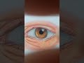 👉 Realistic Eye Drawing Step by Step | Easy Tutorial for Beginners (Color Shading)