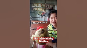 Cách chặt dừa không dùng dao mà dùng muỗng #shorts