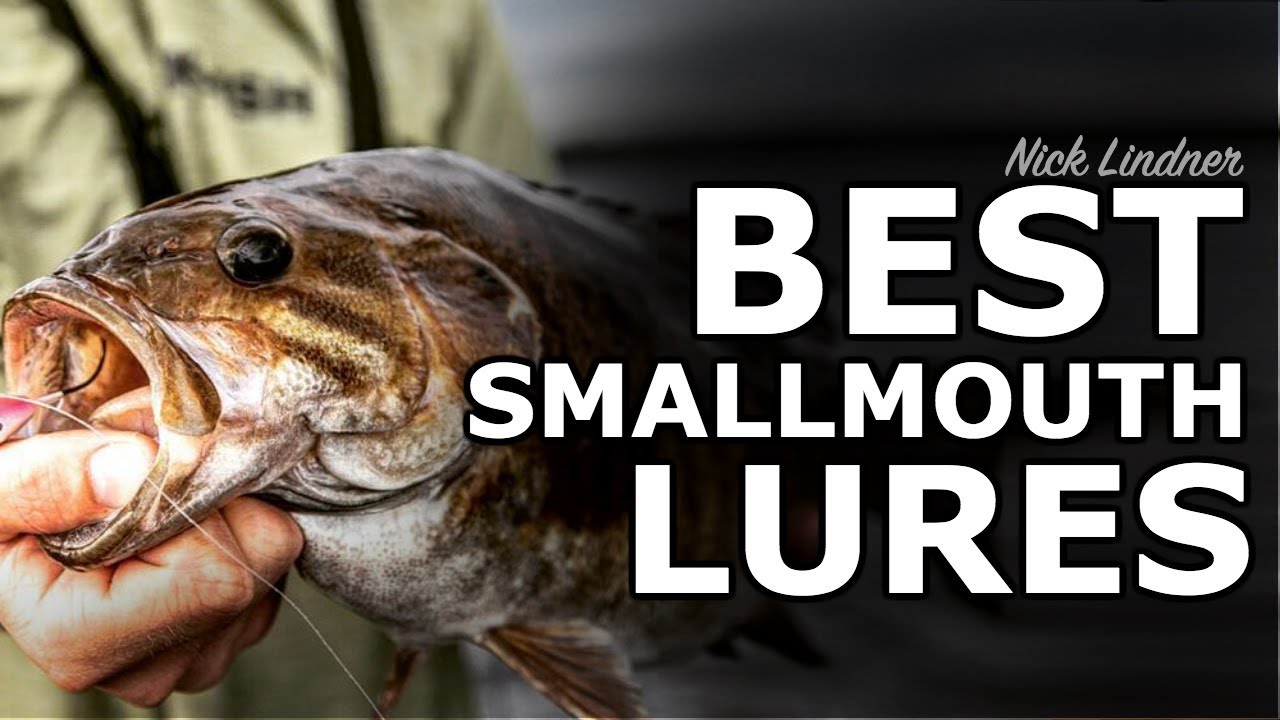 Top 5 Summer Smallmouth Bass Lures 🔨 