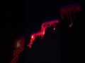 Deep-sea fireworks (siphonophore)! #designingthefuture3 #midwater #siphonophore