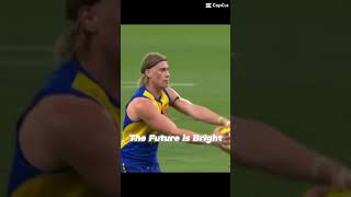 West Coast Eagles Then vs Now #westcoasteagles #afl