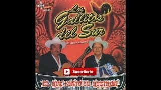 Los Gatillos Del Sur - Copa Tras Copa [Official Audio]