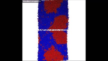 Phase Separation in Lipid Bilayers: Macroscopic Phase Separation in CG Molecular Dynamics