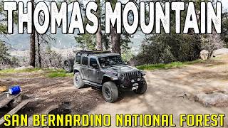 THOMAS MOUNTAIN OFF ROAD TRAIL 6S13 - ANZA, SAN BERNARDINO NATIONAL FOREST #offroad #thomasmountain