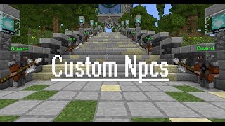 Review Custom NPC Mod--Mod ShowCase #4