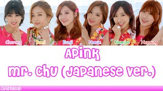 Apink (에이핑크): Mr. Chu (Japanese Ver.) Lyrics