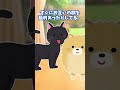 【ほっこり】ポメ犬、顔を洗うｗ