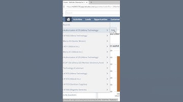 NetSuite Recent Records