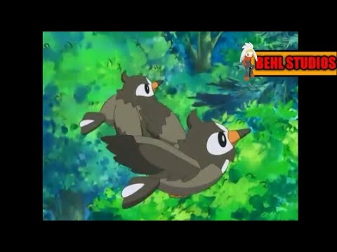 Pokemon diamond and pearl paul released his two starly's. - YouTube