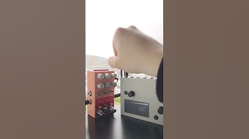 Flora in rain #chasebliss #chaseblissmood #guitarpedal #monome #norns #flora #ambient  #ambientmusic