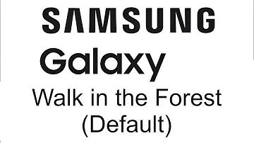 Walk in the Forest (Default) - Samsung TouchWiz Nature UX (Galaxy Note 2,S3), 2 - 4 Alarm Tone