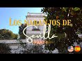 Los naranjos de Sevilla | The Orange Trees of Seville, Spain