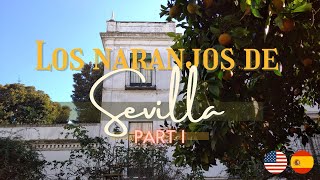 Los naranjos de Sevilla | The Orange Trees of Seville, Spain