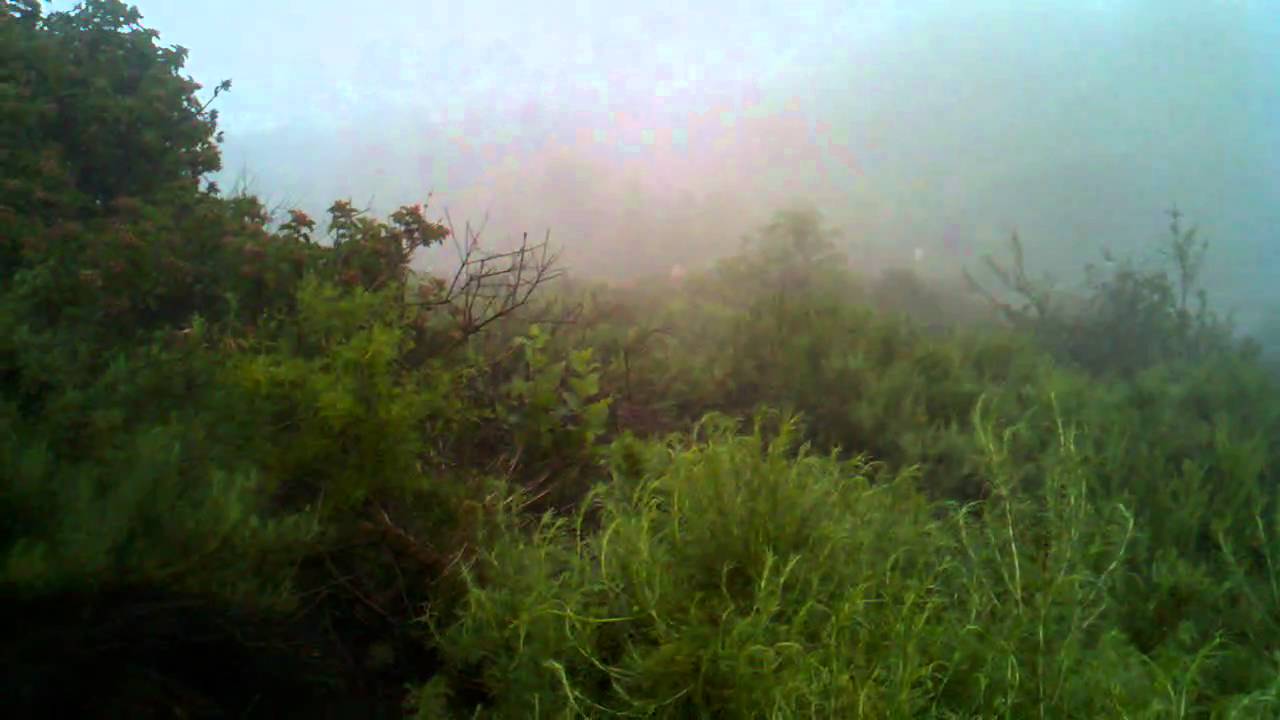 Runyun in a monsoon.