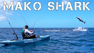 Kayak Fisherman Hooks 400-pound MAKO SHARK in New Zealand (CATCH & COOK) -- Episode 2