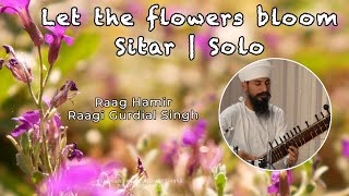 Let the flowers bloom | Sitar Solo | Raag Hamir | Teen Taal #RaagiGurdialSingh