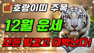 호랑이띠 주목! 2024년 12월 호랑이띠 운명이 바뀝니다! 호랑이띠를 위한 충격적인 운세 2024년 호랑이띠 운세 운세 50년생 62년생 74년생 86년생 98년생 호랑이띠