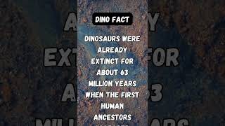 Dinosaurs were already extinct for about 63 million years when the first human ancest...