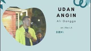 UDAN ANGIN - ALI GANGGA (VIDEO LIRIK) || 2023