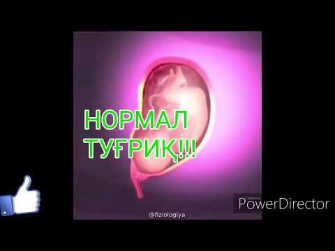 НОРМАЛ ТУҒРУҚ ВА КЕСЕРВА ЖАРАЙОНЛАРИ!!! #РОДЫ