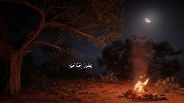 تلاوة من سورة الأنعام _القارئ طارق محمد