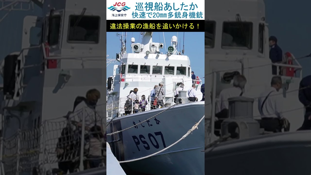 【現最安・未使用】陽気な副船長、チャム　CF 日本語　FAB sddefault.jpg