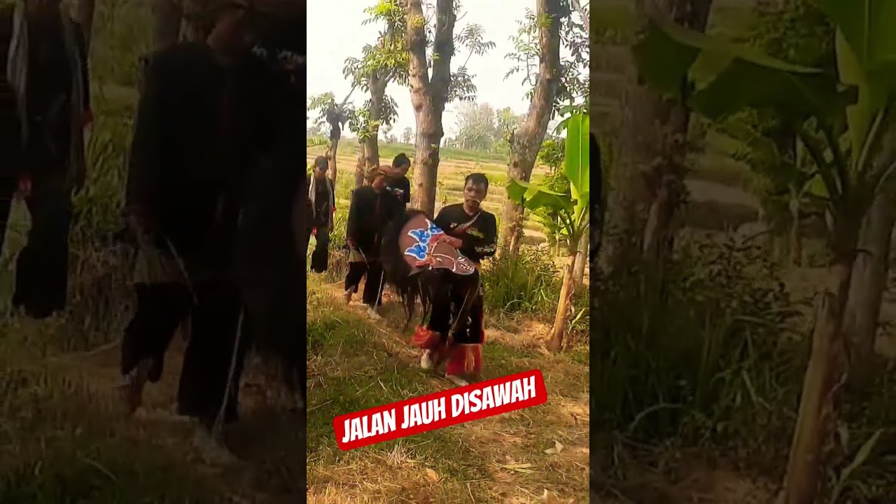jalan jauh disawah #shorts #viral #jarananindonesia