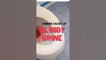 bloody urine