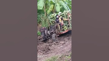 #shorts review xe công nông cầu trượt chở chuối gặp lầy #shortvideo #shortsa