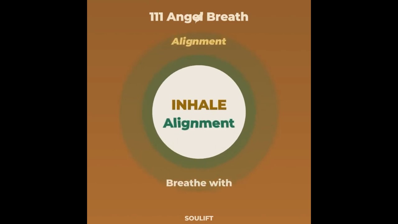 111 - Alignment (No Music) | Inhale 1 • Hold 1 • Exhale 1 |  Angel Breathing™   